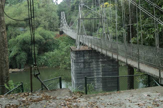 පුද්ගලයෙක් ගඟට පනී